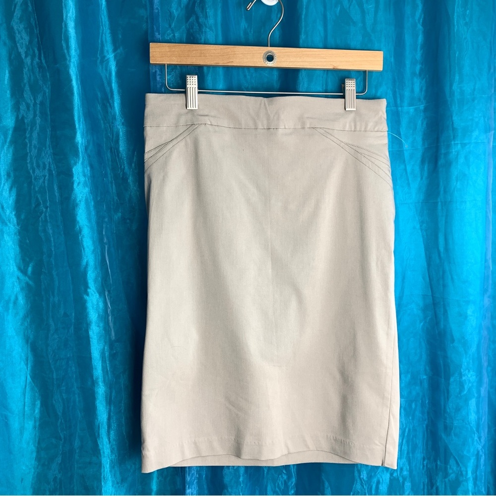 NWT Dahlia Classic Fit Tan Skirt (4)